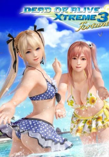 生死格斗: 沙滩排球 3