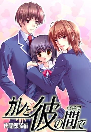 在他和他之间：再婚家族编