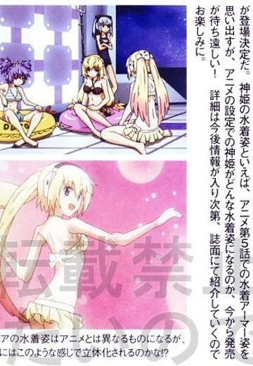 ビーチクイーンズ 武装神姫 ヒナ 泳装ver. 