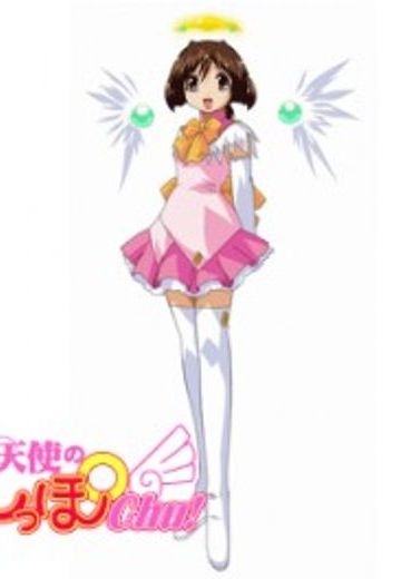 タヌキのミドリ