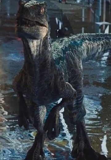 一番赏 ジュラシック・ワールド/炎の王国 蓝色  | Hpoi手办维基