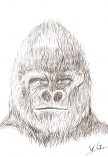 バーチャルゴリラ