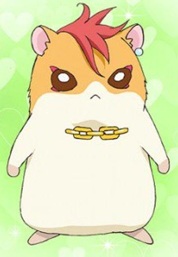 哈利哈姆·哈里