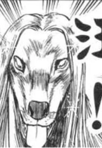 狗