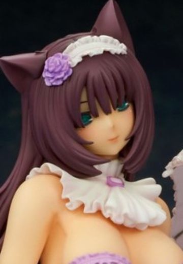 猫的惑星 圣水猫