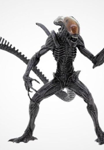 SSS系列 异形 | Hpoi手办维基