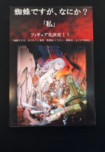 我是蜘蛛，怎么了？ 私