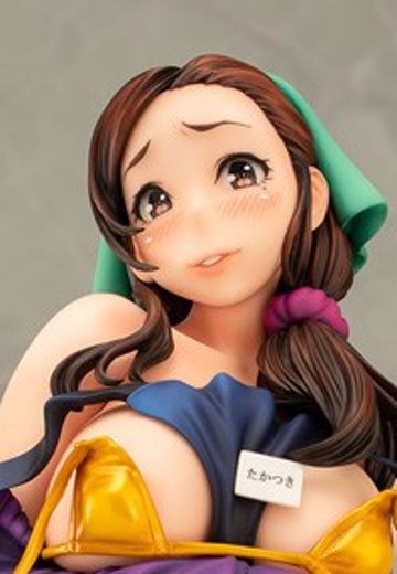 高槻亚纪子～淫れた棚卸し～ | Hpoi手办维基