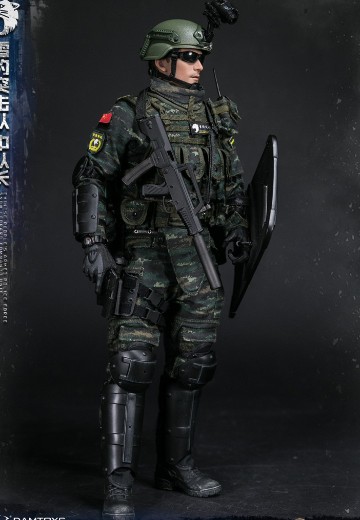 DAMTOYS 78053 1/6 中国人民武装警察部队特警部队 雪豹突击队 中队长 | Hpoi手办维基