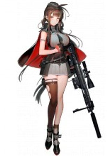 AMP DSR-50狙击步枪