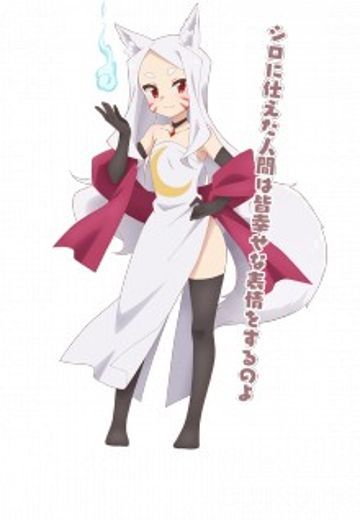 小白