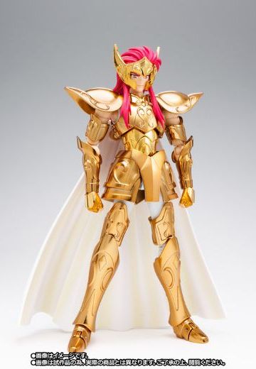 圣闘士圣衣神话EX 圣闘士星矢 水瓶座の卡缪 OCE - Original Color Edition 