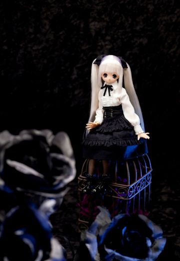 PureNeemo Secret Wonderland  | Hpoi手办维基