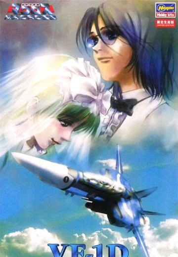 超时空要塞Macross 1/72 VF-1D 女武神“Virgin Road” | Hpoi手办维基