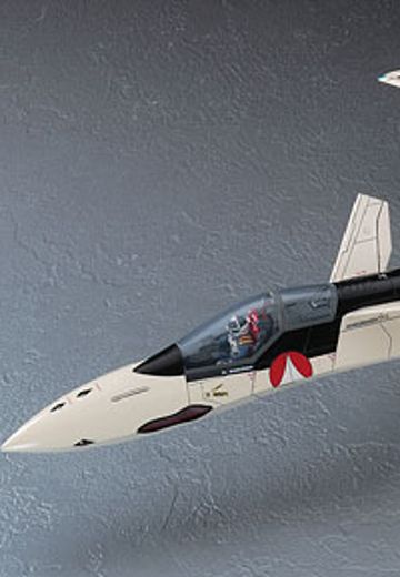 Macross Plus 1/48 YF-19 