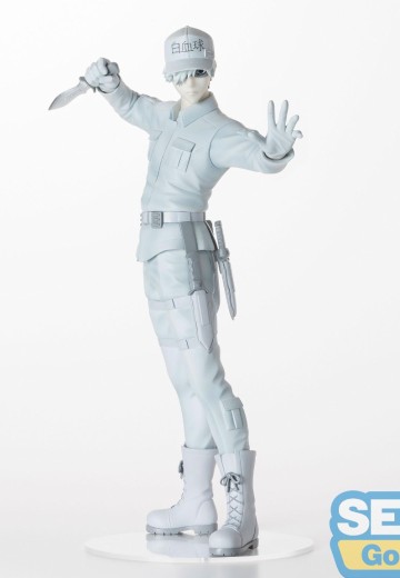 工作细胞 U-1146 白细胞