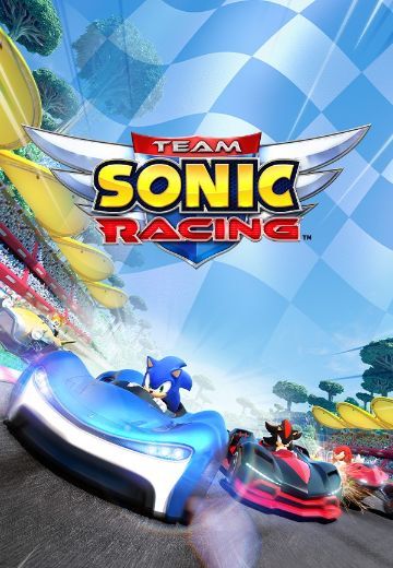 索尼克团队赛车