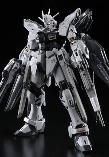 RG 1/144 强袭自由高达 装甲未启动样式 | Hpoi手办维基