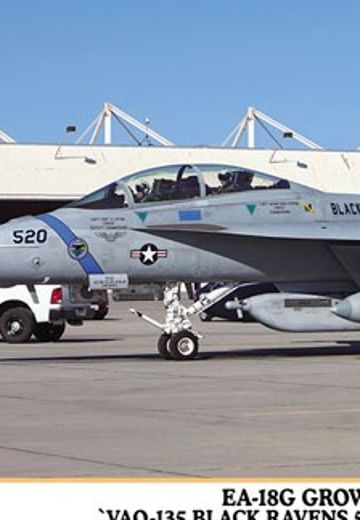 1/72 美国 EA-18G 咆哮者 电子战机“VAQ-135 黑乌鸦中队  50周年记念”  | Hpoi手办维基