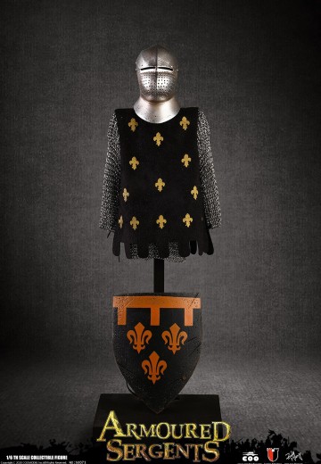 SE071 1/6 帝国系列- 重装卫队（真锁甲套装） | Hpoi手办维基