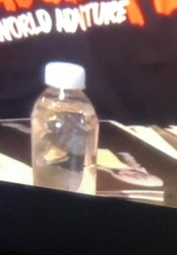 S.H.Figuarts 龙珠Z 比迪丽 | Hpoi手办维基