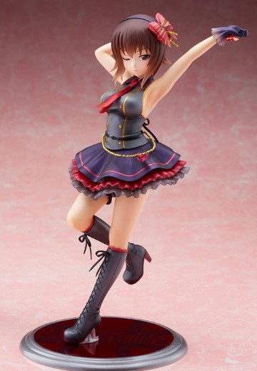 DreamTech 少女与战车 战车道大作战！ 西住真穗 偶像风格 | Hpoi手办维基