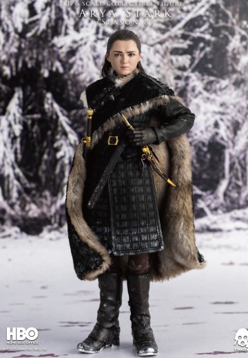 3Z0143 冰与火之歌 权力的游戏 艾丽娅·史塔克 | Hpoi手办维基