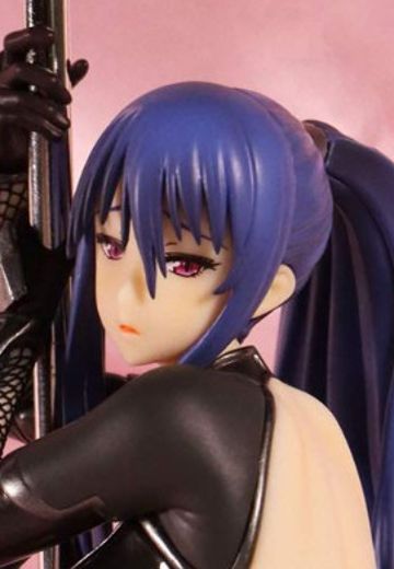 对魔忍雪风2 秋山凛子 钢管舞Ver. 变色版 | Hpoi手办维基