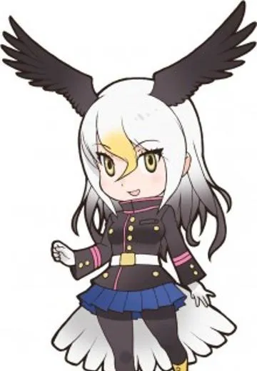 白头鹰