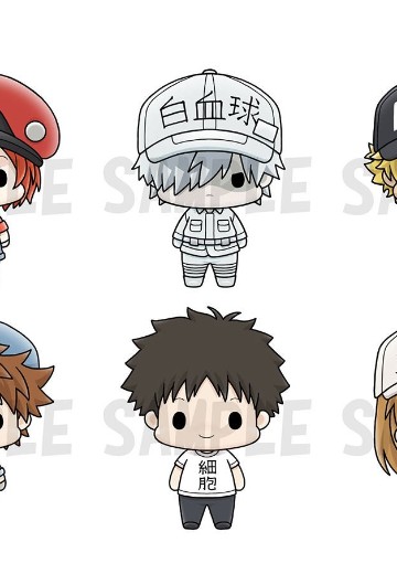 Q版可立玩偶 工作细胞 | Hpoi手办维基