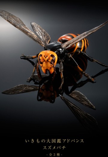 动物大图鉴 大黄蜂 | Hpoi手办维基