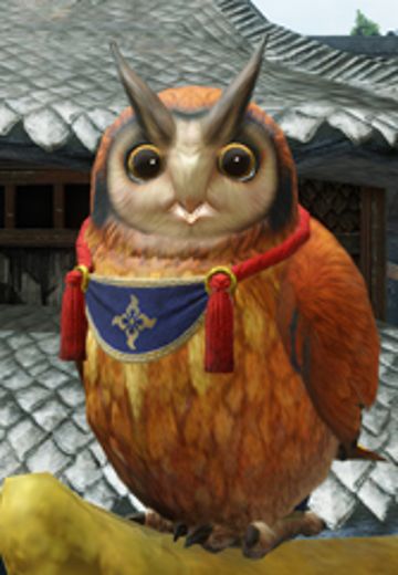福木兔
