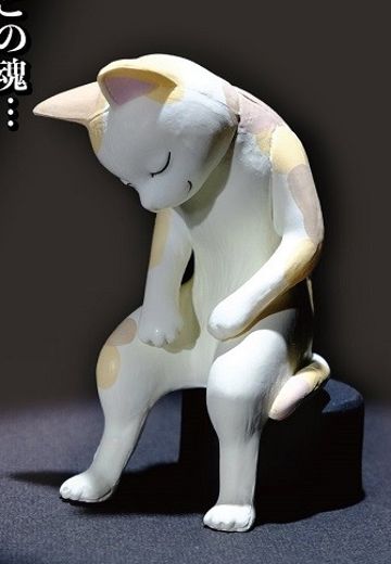 尽情燃烧自己生命后的猫猫