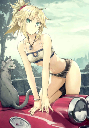 莫德雷德(Fate系列）