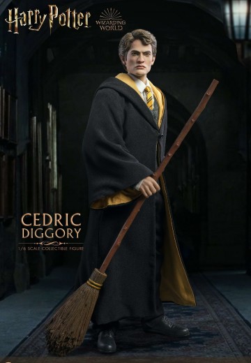 哈利·波特 塞德里克·迪戈里 | Hpoi手办维基