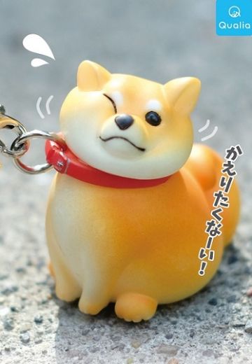 赖着不走的狗狗