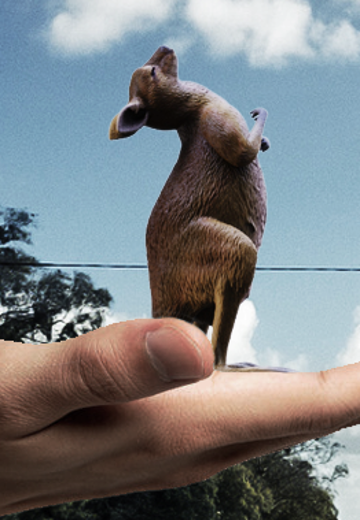 袋鼠摇手 | Hpoi手办维基