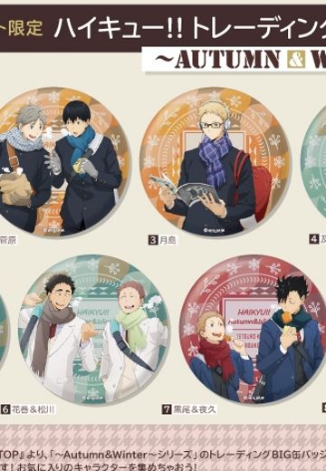 排球少年 第四季 集换式 BIG徽章 ~秋与冬~ | Hpoi手办维基