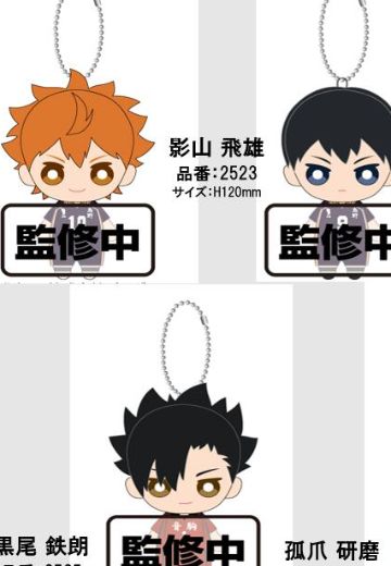 排球少年 角色玩偶挂件 | Hpoi手办维基