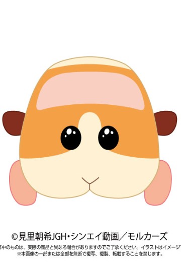 天竺鼠车车 角色玩偶 | Hpoi手办维基