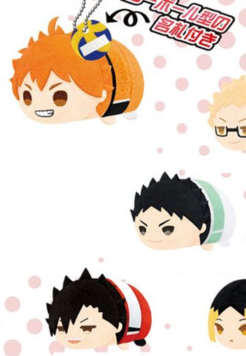 排球少年 第四季 趴趴玩偶 第4弹 | Hpoi手办维基