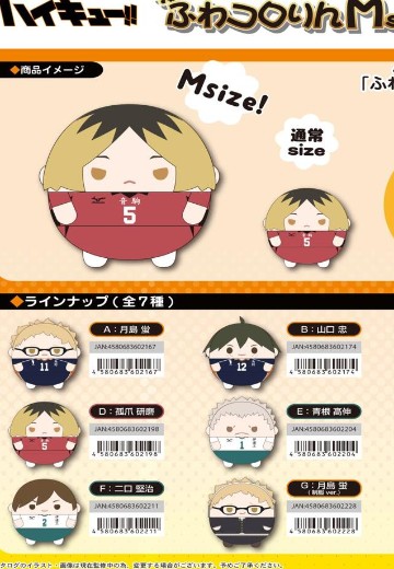 排球少年 M码圆滚滚玩偶 第2弹 | Hpoi手办维基