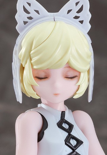 chitocerium ornatio .face 0.2.1.10.0 θ