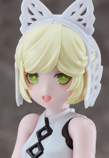 chitocerium ornatio .face 0.2.1.10.0 ε