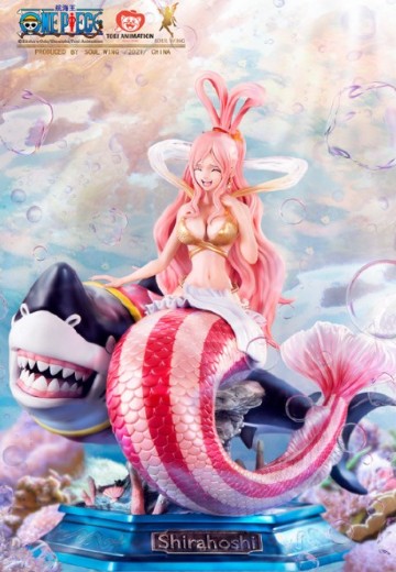 航海王 白星公主