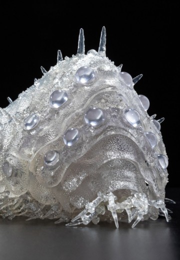 竹谷式自在置物 风之谷 王虫 透明版