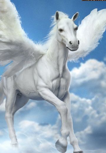 天马 | Hpoi手办维基