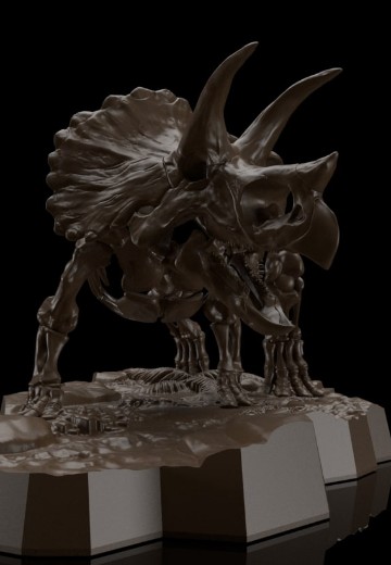 幻想骨架  三角龙