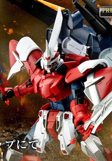 ZGMF-1017GR 角斗士金恩