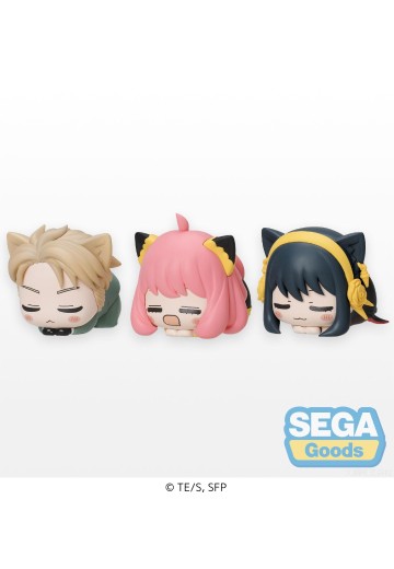 间谍过家家 动画版 午睡猫咪